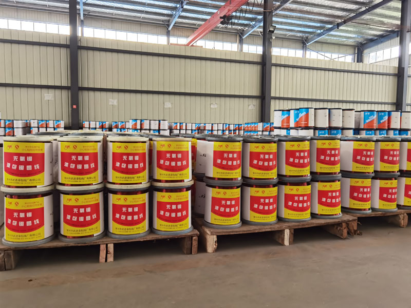 �c���鿴��